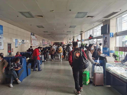市交通局圓滿完成“雙節”期間運輸服務保障工作，全市運送旅客61.5萬人次